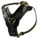 Dean & Tyler Leather Dog Harness The Victory Black Large