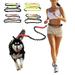 Ludlz Hands Free Dog Leash for Running Walking Training Hiking Dual-Handle Reflective Bungee Adjustable Waist Belt Shock Absorbing Ideal for Medium to Large Dogs