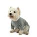 Leveret Dog Cotton Pajama Solid Light Grey S