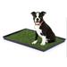 Mr. Peanut s Potty Place - Artificial Grass Puppy Pad for Dogs and Small Pets