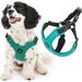 Gooby Escape Free Sport Harness - Turquoise Small - Escape Free Step-in Harness with Neoprene Body for Small Dogs and Medium Dogs for Indoor and Outdoor use