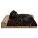 FurHaven Pet Products Southwest Kilim Memory Top Deluxe Chaise Lounge Pet Bed for Dogs & Cats - Desert Brown Large