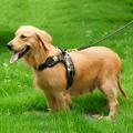 Pet Vest Harnesses Adjustable Dog Leash Durable Dog Training Harness Explosion-proof Padded Vest Leash Safe Harness