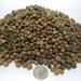 KGM-350 Silk Worm Intense Color Red Intense Green Gro Floating Pellets (Apx 6mm-1/4 )â€¦7-lbs