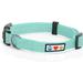 Pawtitas Reflective Dog Collar Adjustable for Medium Dogs - Teal Collar