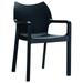 Resin Outdoor Dining Arm Chair Black- Set of 2