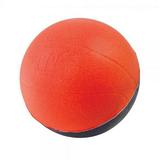 POOF 4 Inch Pro Mini Basketball Assortment