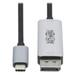 Tripp Lite Usb C To Displayport Adapter Cable (m/m) 8k Uhd Displayport 1.4 Black/silver 6 Ft. - Displayport Cable - Usb-c (m) Reversible To Displayport (m) - Usb 3.1 / Thunderbolt 3 / Displayport