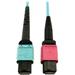 Eaton Tripp Lite Series 400G Multimode 50/125 OM4 Plenum Fiber Optic Cable 24F MTP/MPO-UPC to 16F MTP/MPO-UPC (F/F) Aqua 3 m