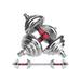 Zoogamo Adjustable Dumbbells Cast Iron Set Weight to 44LBS Free Weight with Connecting Rod Used As Barbell for Men and Women Home Gym Work Out Training Fitness Equipment All-Purpose