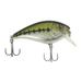 Ozark Trail 2.5 Squarebill Crankbait Bass