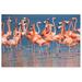 Awkward Styles Flamingo Printed Wall Decor Flamingo Poster Decor Ideas Unframed Art Picture Home Decor Ideas Unique Decor Gifts Flamingo Room Decor Beautiful Flamingo Picture Pink Room Wall Art