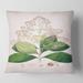 Designart 'Vintage London Plants III' Farmhouse Printed Throw Pillow