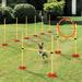 Pawhut 3 Piece Pet Agility Training Obstacle Set | 39.25 H in | Wayfair D07-026