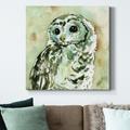 Millwood Pines Woodland Owl - Wrapped Canvas Print Metal in Black/Blue/Gray | 32 H x 32 W x 1 D in | Wayfair 99A839F820EA4F83AE6316A9C0833CD0
