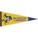 WinCraft McNeese State Cowboys 12" x 30" Large Logo Premium Pennant