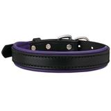 SmartPak Soft Padded Leather Dog Collar - Medium - Black/ Purple - Smartpak