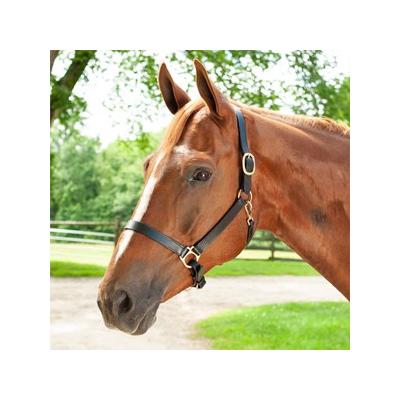 Plymouth Leather Halter by SmartPak - Oversize - B...
