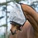 Amigo Fly Mask - Horse - Silver/Dark Grey - Smartpak