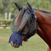 SmartPak Fine Mesh Fly Mask with Fringe Nose - Horse - Black w/ Navy Trim - Smartpak