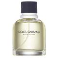 Dolce & Gabbana DG POUR HOMME EDT