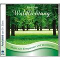 Waldlichtung,1 CD-Audio - Arnd Stein. (CD)