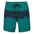 O'Neill Men's PM CALI Stripe Shorts Swim Briefs, 6950 Green AOP W/Blue, M