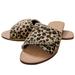 Winnereco Women Leopard Slippers Summer Flat Girl Rivet Beads Slides (39 Light Brown)