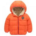 Best Cottoncandy Baby Kids Hooded Warm Winter Coat Puffer Down Jacket Long Sleeve Windproof Outerwear for boy 2 to 7 years