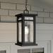 Quoizel Moira 17 1/2" High Earth Black Outdoor Hanging Light