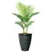 Vintage Home Artificial Faux Real Touch 5.34 Feet Tall Palm Tree With Fiberstone Planter - 64"