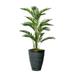 Vintage Home Artificial Faux Real Touch 5.67 Feet Tall Palm Tree With Eco Planter - 68"