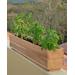 Millwood Pines Mervela Window Box Planter Wood in Brown | 6.13 H x 30 W x 5 D in | Wayfair BA38598C145C4CFD94BB24FF5613CACA