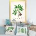 East Urban Home Vintage London Plants XI - Painting on Canvas in Green | 20 H x 12 W x 1 D in | Wayfair 1602D470AF484FC6ADA219A9A944AFE9