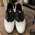 Adidas Shoes | Adidas Men’s Golf Shoes | Color: Black/White | Size: 8