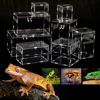 Boîte d'élevage de reptiles en acrylique transparente terrarium respirant araignée lézard
