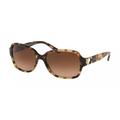 Coach HC8241 L1031 Col 557674 Sunglasses