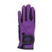 Ovation Children's Horseshoe Embroidered Gloves (Wisteria, Childs Small - 5)