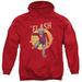 DC Comics Flash Circle & Stars Adult Pullover Hoodie Sweatshirt