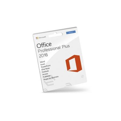 Microsoft Office Professional Pl...
