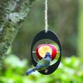 Ludlz High Hanging Bird Feeders for Garden | Wear-resistant Plastic Exquisite Outdoor Tree Bird Seed Feeder | Apple Bird Feeding Table | Unique Hook Design Birds Food Tray