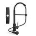 FORIOUS Pull Down Single Handle Kitchen Faucet w/ Deck Plate, Handles & Supply Lines in Black | Wayfair WW004B