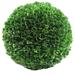 Faux Preserved Artificial Boxwood Ball Topiary Plant 7.25"H, Green - ABN5P014-GRN