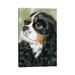 East Urban Home Fit for a King - Cavalier King Charles Spaniel Tri-Color by Judith Stein - Wrapped Canvas Painting Print Canvas | Wayfair