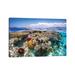 East Urban Home Mayotte : The Reef by Barathieu Gabriel - Wrapped Canvas Graphic Art Print Metal in Blue/Brown | 26 H x 40 W x 1.5 D in | Wayfair