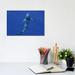 East Urban Home Hawaiian Shark II by Bethany Young - Wrapped Canvas Photograph Print Canvas in Blue | 8 H x 12 W x 0.75 D in | Wayfair