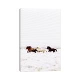 East Urban Home Wild Horses Iceland VIII by Monika Strigel - Wrapped Canvas Photograph Print Canvas in Black/Brown | 12 H x 8 W x 0.75 D in | Wayfair