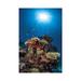 East Urban Home Reef & Sunshine by Barathieu Gabriel - Wrapped Canvas Photograph Canvas | 18 H x 12 W x 1.5 D in | Wayfair