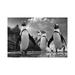 East Urban Home Walk Of The Penguins by - Wrapped Canvas Canvas | 18 H x 26 W x 1.5 D in | Wayfair 3361F06D87014854A1AD6D8769E961E7