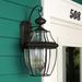 Charlton Home® Washington Mews 2 - Bulb 20" H Outdoor Wall Lantern Brass/Glass/Metal in Black/Brown | 20 H x 11 W x 9.75 D in | Wayfair